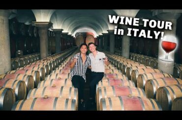 BEST Wine Tour in Bardolino, ITALY! | Cantina Fratelli Zeni