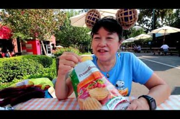 PrimoHoagies Italian Hoagie Potato Chips Review @ #KnottsBerryFarmMarketplace #2020SummertimeBlues