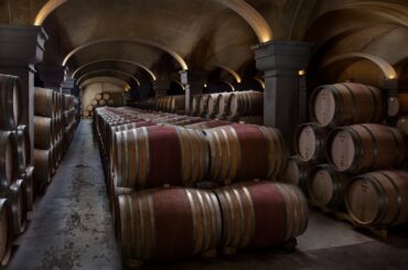 Marchesi Antinori, Florence 2020