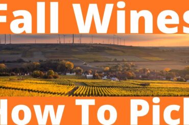 Wines For The Fall: How To Spice Up Your Wine Rack For The Season