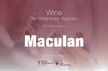 MACULAN -  Wine Italia - Merano WineFestival 2020 - back to the roots