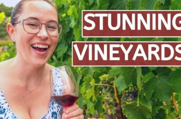 THE BEST TUSCANY WINE TOUR FROM FLORENCE ITALY // Brunello di Montalcino