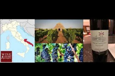 Ep 339: Puglia, Italy -- New World Wine From an Old World Country