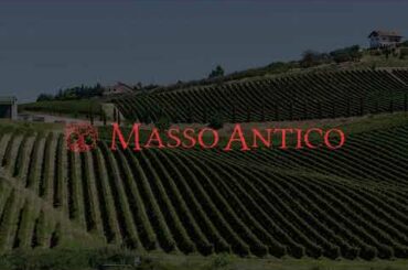 Masso antico - discover our range of Italian wines