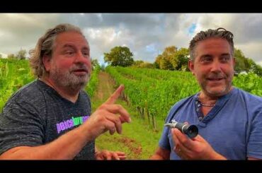 wine talk 11