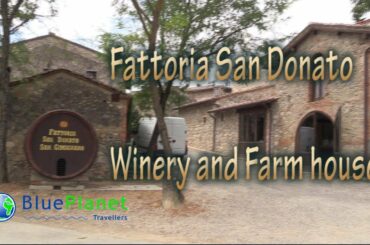 Fattoria San Donato a organic traditional Italian winery.