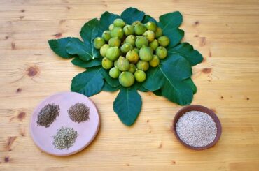 Fig Sweet - Ancient Roman Recipe