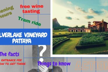 Silverlake Vineyard Pattaya , Thailand | The facts