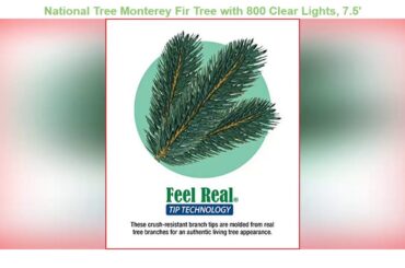 ✨ National Tree Monterey Fir Tree with 800 Clear Lights, 7.5'