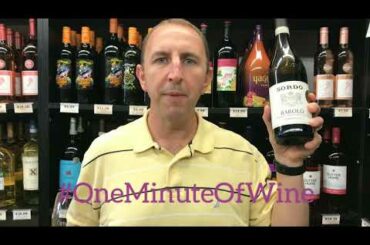 Sordo Barolo Gabutti | One Minute Of Wine Episode #866