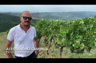 Private Wine Tour to Tuscany with Alessandro Cammilli