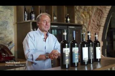 Behind the Wine: Renieri Invetro, Total Wine & More's #1 Wine of 2020