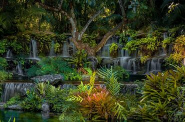 Property Showcase | 24965 SW 162nd Avenue, Miami