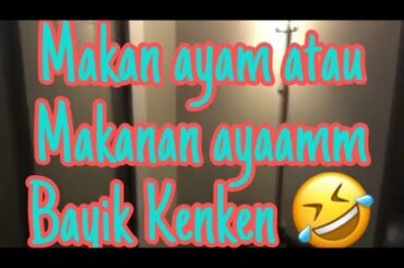 Dinner Gaia Korea Korea an Quinnken