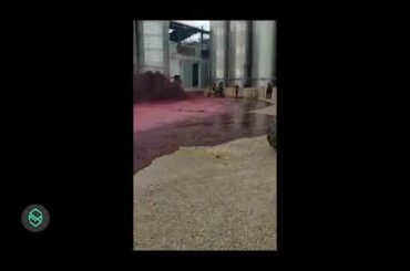 Red wine container ruptured, 50,000 liters lost in Villamalea, Spain