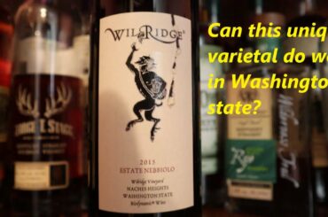 Wilridge Winery 100% Nebbiolo. Can this unique grape succeed in Washington State?