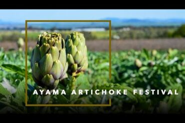 Ayama Wines Artichoke Festival brings Italian flavour to life in Cape Town