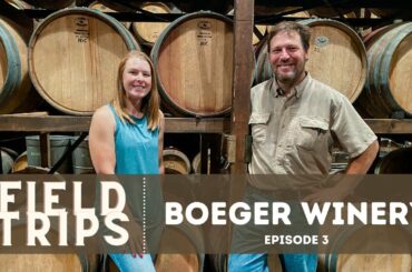 SO MUCH HISTORY with Boeger Winery - Field Trips Ep. 3