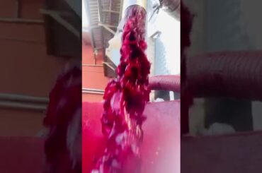 2020 Wine at Lenotti