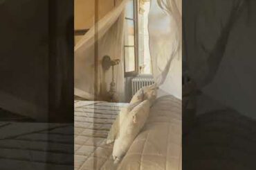 Villa Veneto by Appassionata - Lapedona, Le Marche, Italy.