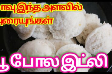 இந்த அளவில் மாவு அரையுங்கள் பூ போல இட்லி .. How to make Italy Recipe in Tamil..