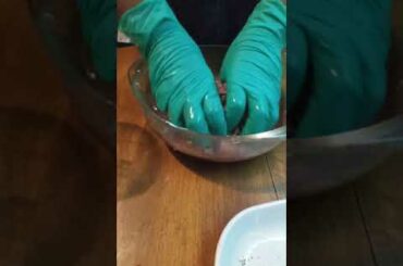 Dish Magni Romani (The Great Roman Dish)