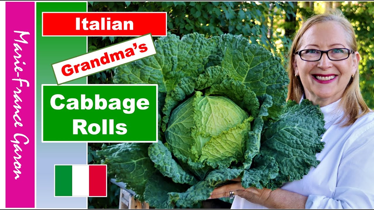 Italian Grandma's Cabbage Rolls Italian Grandma's Cabbage Rolls
