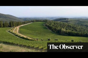 Italian jobs: the best wines from Tuscany | David Williams