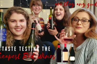 Taste Testing The Cheapest Red Wines, Which Wines To Buy and Which Wines To Avoid!