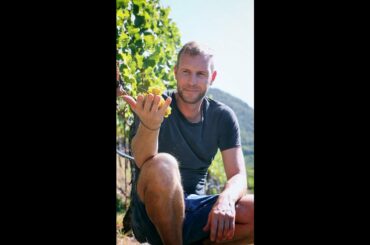 Alto Adige DOC Sauvignon Südtirol terroir Insights