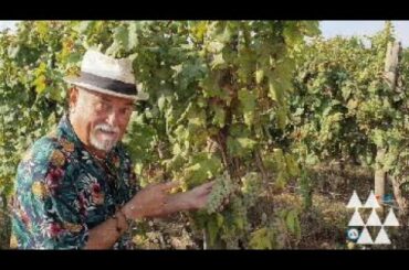 CK Eats Puglia (EP4) - Wine @ cantina (winery) I Pastini in Locorotondo