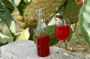 Prickly Pear Wine homemade🍷Cactus Fruit Wine🍾Healthy Homemade Wine NO Sugar Added🤪8.7% Alcohol