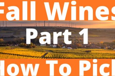 Wines For The Fall: Part 1 of 5