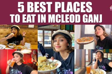 5 Best Places To Eat In Mcleod Ganj | Dharmshala |  CAFE and RESTAURANTS