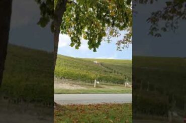 A short tour in wine factory, "Fontana fredda" Asti Piemonte Italy parte 1