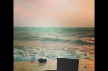 KeyWest Sunset! Romantic Dinner Spot Must see! Gorgeous view