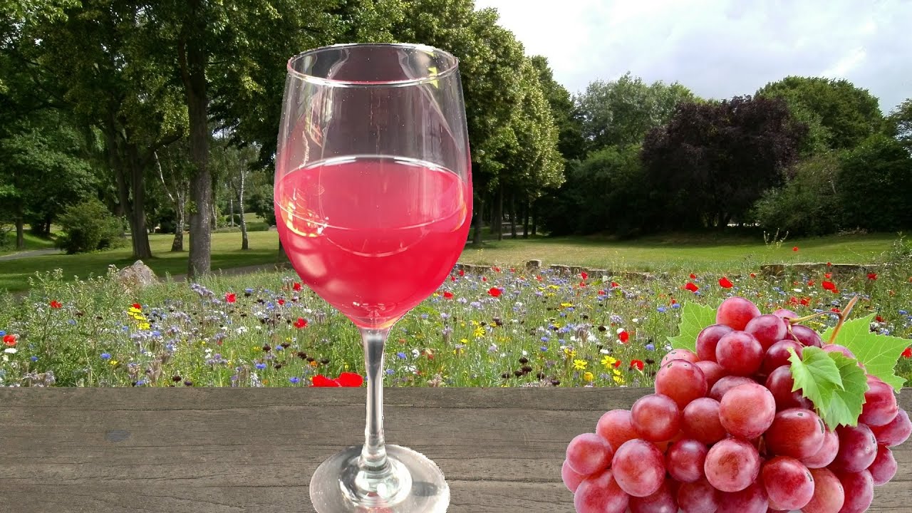 How to make wine – Homemade French wine – My Home Made Wine Making – DIY Wine How to make wine - Homemade French wine - My Home Made Wine Making - DIY Wine