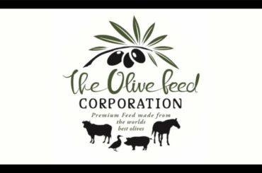 How to Cook Umami Wagyu Meatballs With Italian Pasta and Homemade Pasta Sauce