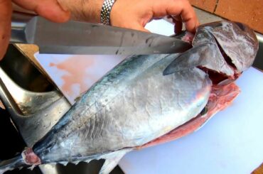 TUNA FOR DINNER HOW TO FILLET AND COOK TUNA ITALIAN RECIPE