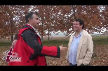 Bodega Rafael Cambra Vineyard Tour in Valencia Spain