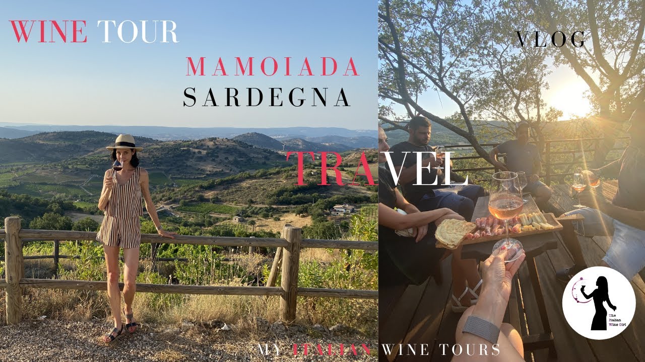 ALLA SCOPERTA DI MAMOIADA, SARDEGNA: CANNONAU, GRANAZZA, LA TENACIA DEI PRODUTTORI, LA COMUNITA' ALLA SCOPERTA DI MAMOIADA, SARDEGNA: CANNONAU, GRANAZZA, LA TENACIA DEI PRODUTTORI, LA COMUNITA'
