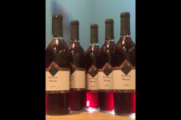 FastRack 45-CZ-85-D6BG Wine Bottle Floor Corker, Portuguese Red, 1