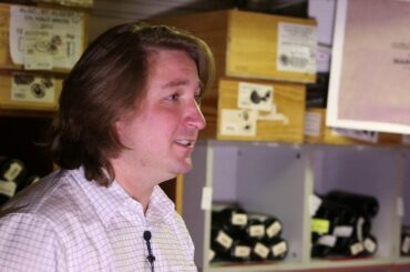 Italian Wines with Peter Smolarz