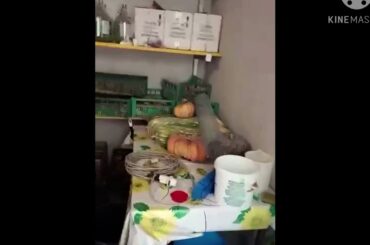 My Italian grandpa making wine