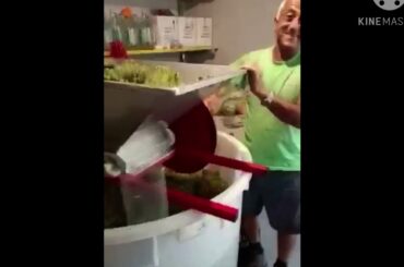 My Italian grandpa making wine