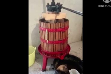 My Italian grandpa making wine