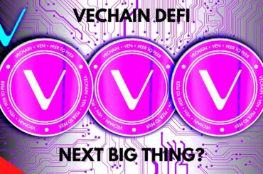 [VECHAIN NEWS] ITALIAN POLICE SEIZE 4000 BOTTLES OF COUNTERFEIT WINE! VECHAIN DEFI QUICK LOOK