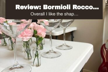 Review: Bormioli Rocco Italian Red Wine Glasses 18 Ounce (Set of 8) Crystal Clear, Laser Cut Ri...