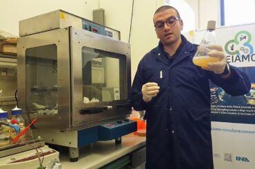 Production of biosurfactants using agricultural residues from olive oil and winery sectors