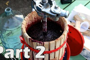 How to Make Red Wine from Grapes - Part 2